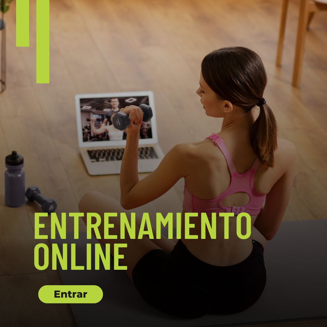 Entrenamiento Online